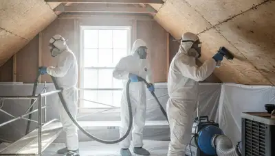 Mold removal service in Menifee, CA for homes with water damage and moisture-related issues